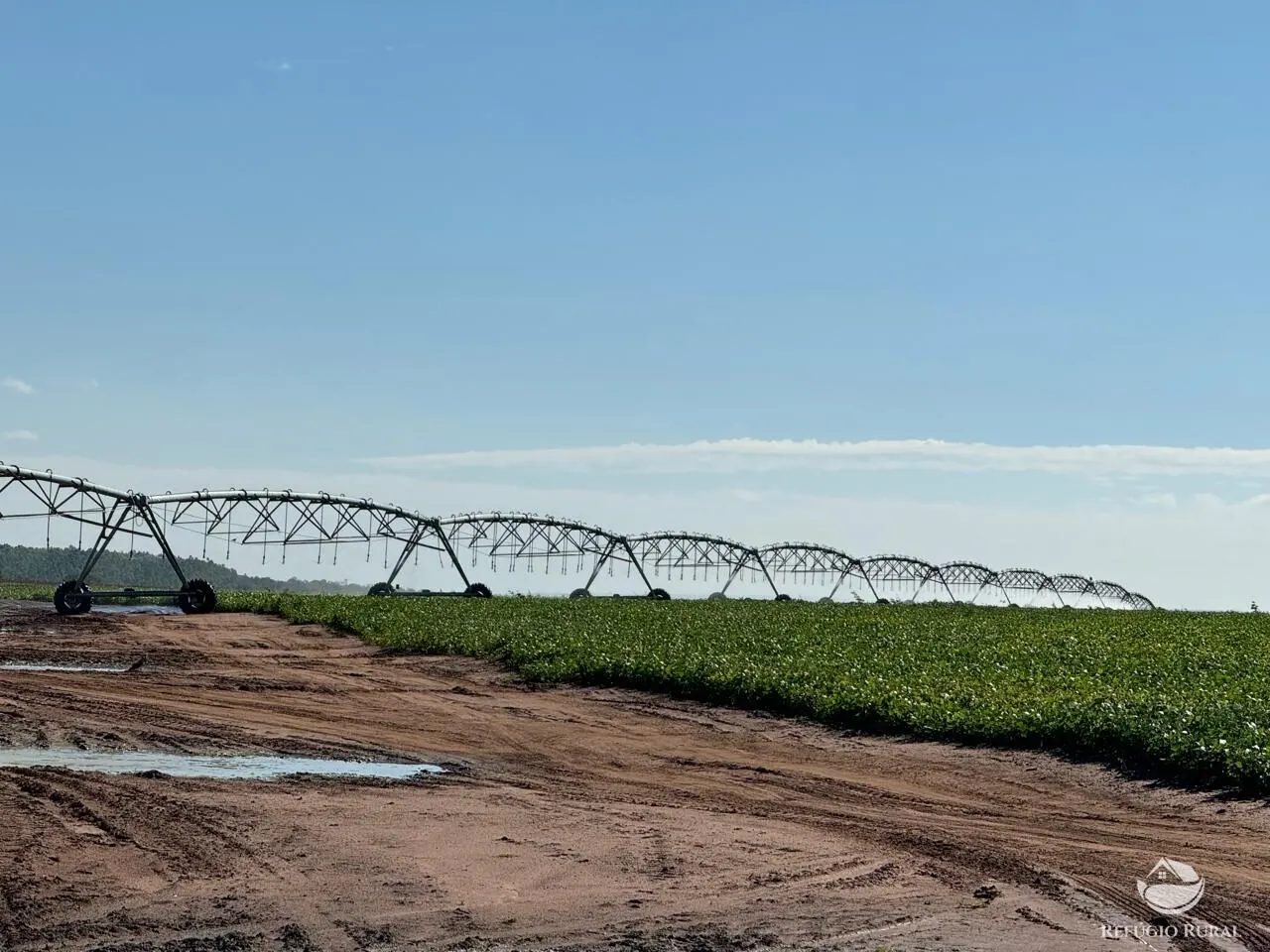 Fazenda à venda de 2.622 ha em João Pinheiro, MG, Brasil