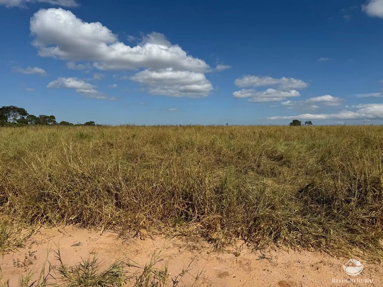 Fazenda à venda de 2.622 ha em João Pinheiro, MG, Brasil