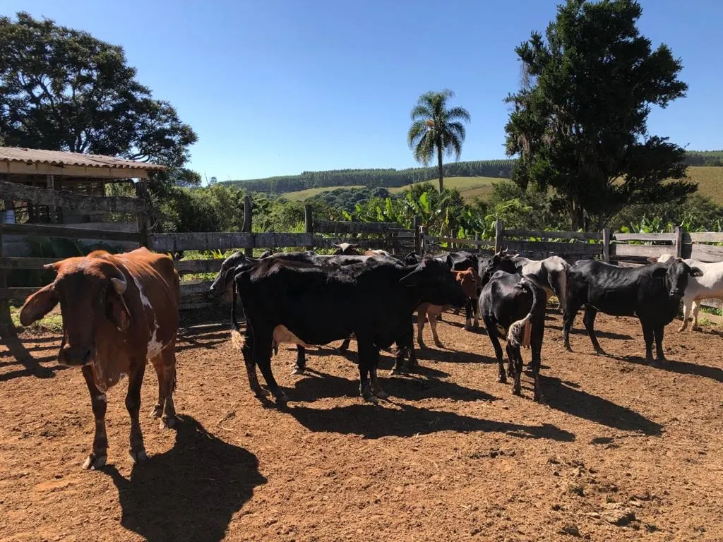 Small farm for sale of 78 acres in Itapetininga, SP, Brazil