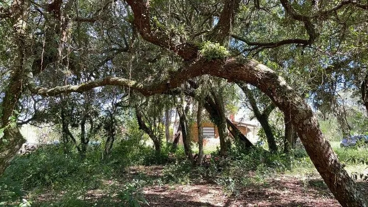 Chácara à venda de 2 ha em Viamão, RS, Brasil