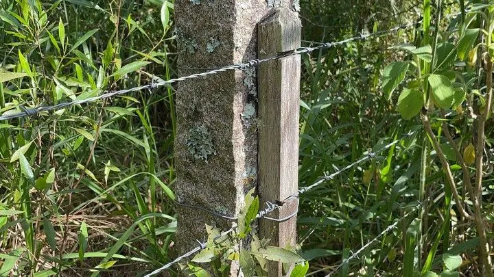 Chácara à venda de 2 ha em Viamão, RS, Brasil