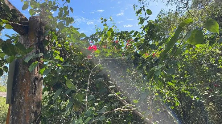 Chácara à venda de 2 ha em Viamão, RS, Brasil