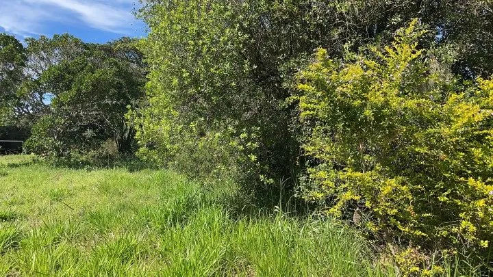 Chácara à venda de 2 ha em Viamão, RS, Brasil