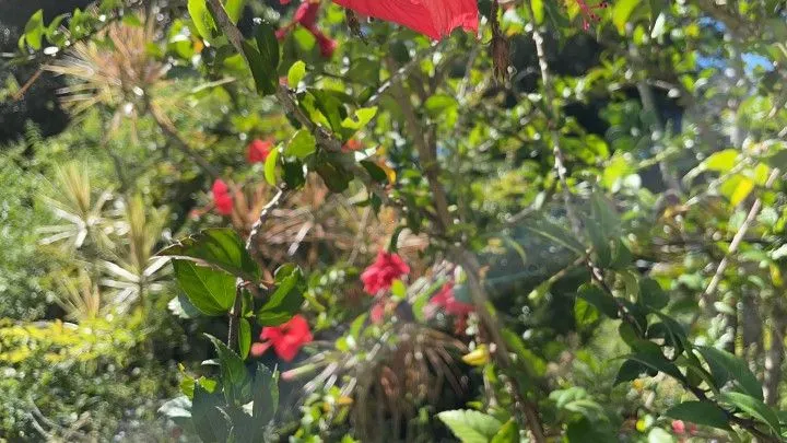 Chácara à venda de 2 ha em Viamão, RS, Brasil