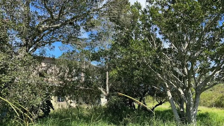 Chácara à venda de 2 ha em Viamão, RS, Brasil