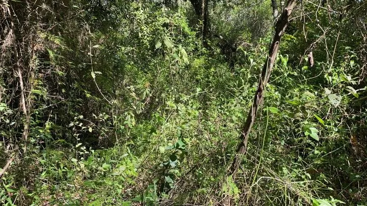 Chácara à venda de 2 ha em Viamão, RS, Brasil