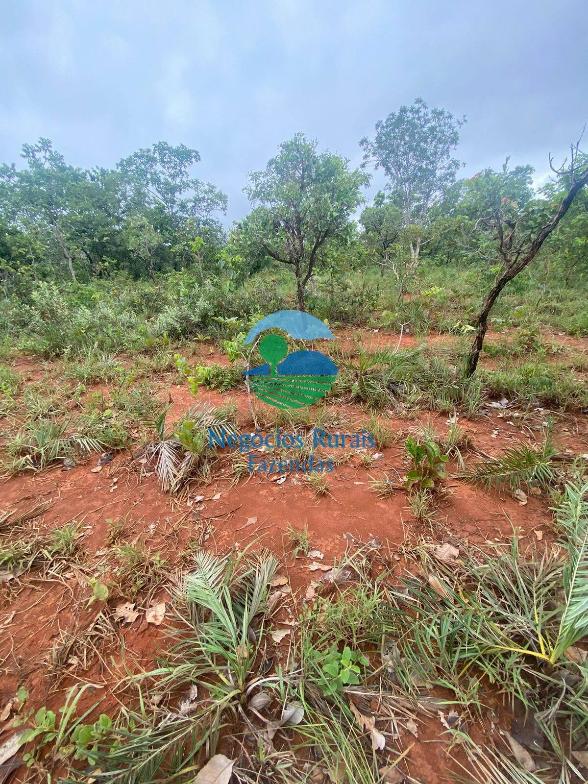 Farm for sale of 717 acres in Formoso, GO, Brazil