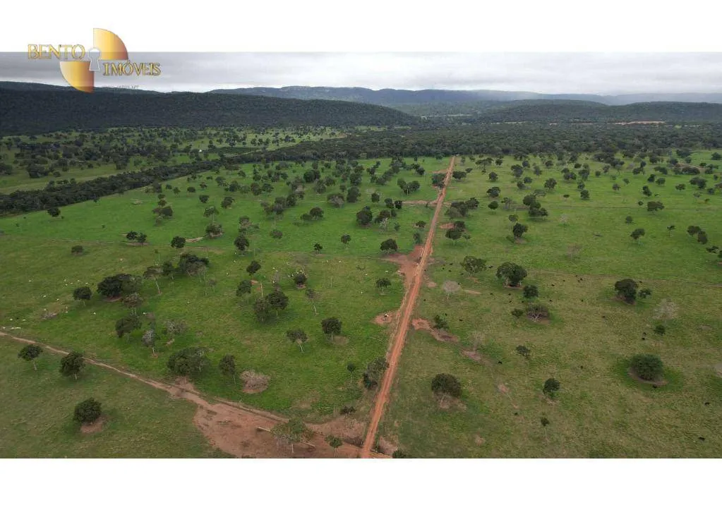 Farm for sale of 6,524 acres in Cáceres, MT, Brazil