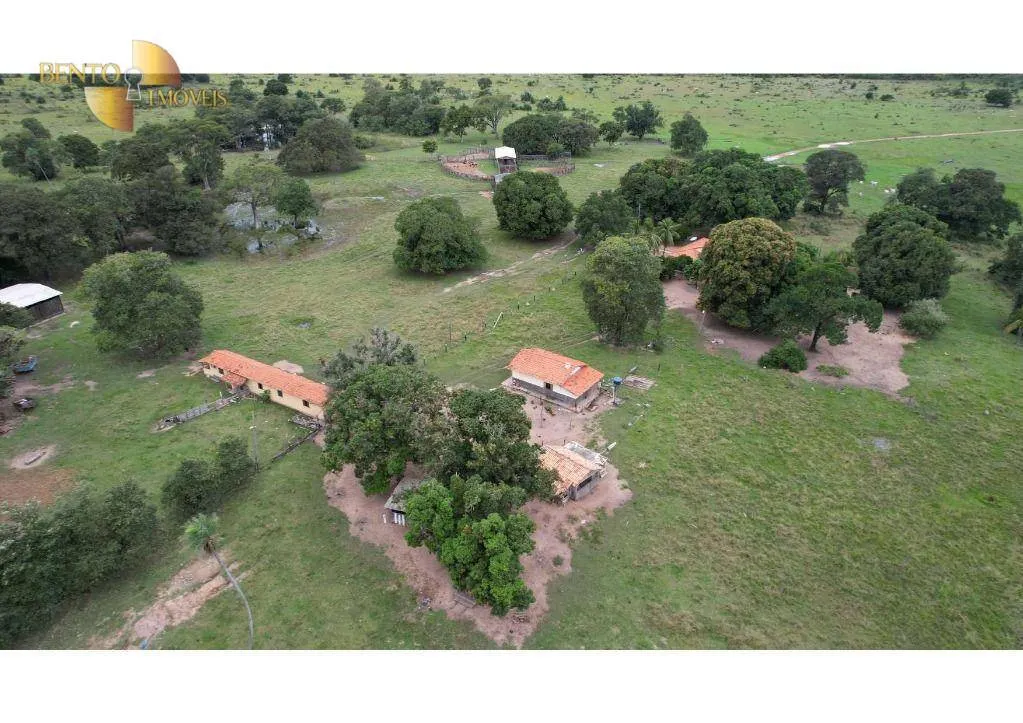 Farm for sale of 6,524 acres in Cáceres, MT, Brazil