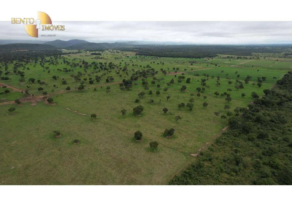 Farm for sale of 6,524 acres in Cáceres, MT, Brazil