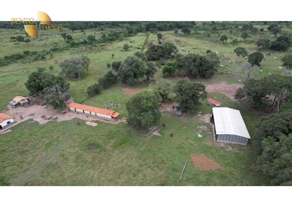 Farm for sale of 6,524 acres in Cáceres, MT, Brazil