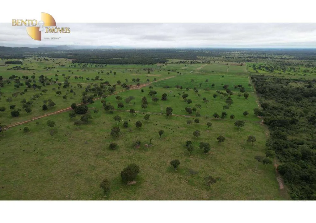 Farm for sale of 6,524 acres in Cáceres, MT, Brazil