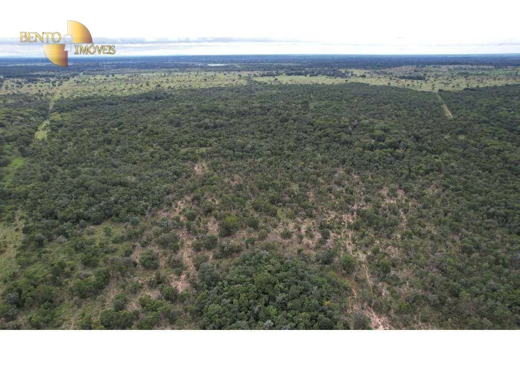 Farm for sale of 6,524 acres in Cáceres, MT, Brazil