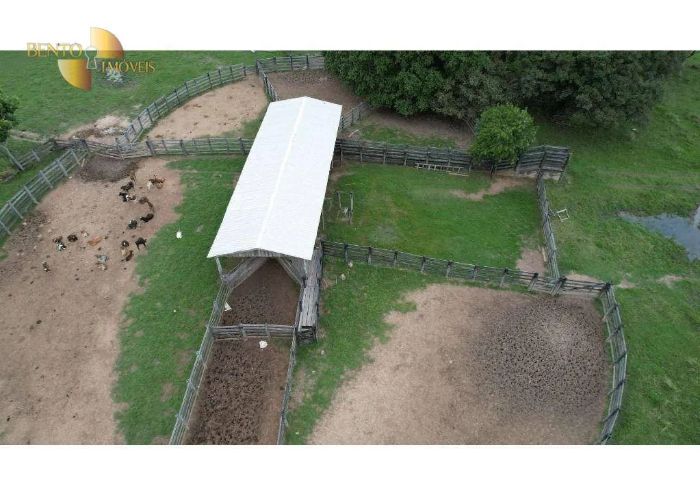 Farm for sale of 6,524 acres in Cáceres, MT, Brazil