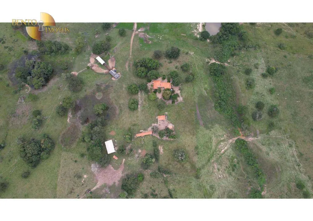 Farm for sale of 6,524 acres in Cáceres, MT, Brazil