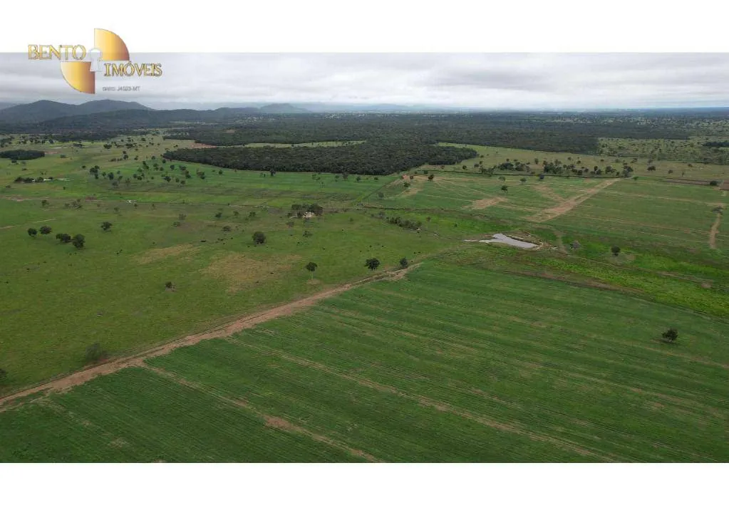 Farm for sale of 6,524 acres in Cáceres, MT, Brazil