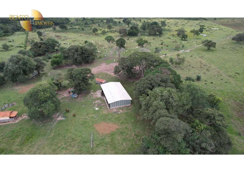 Farm for sale of 6,524 acres in Cáceres, MT, Brazil