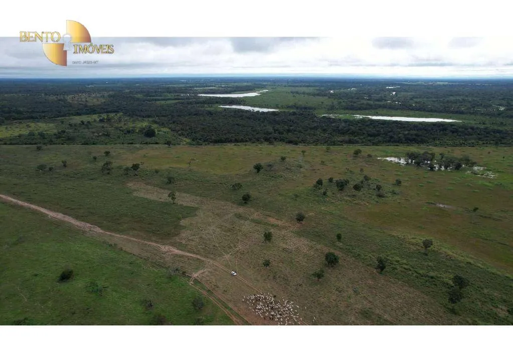 Farm for sale of 6,524 acres in Cáceres, MT, Brazil