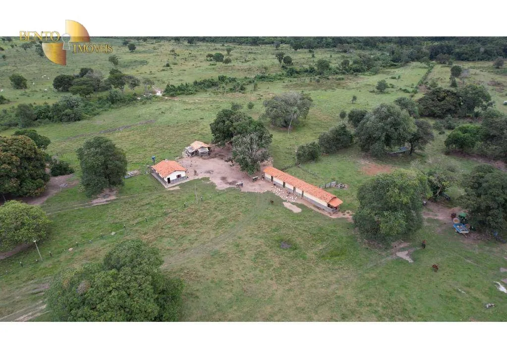 Farm for sale of 6,524 acres in Cáceres, MT, Brazil