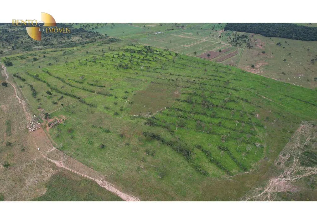 Farm for sale of 6,524 acres in Cáceres, MT, Brazil