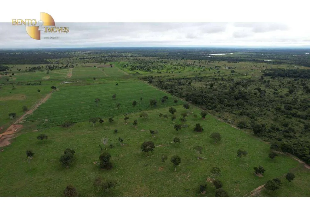 Farm for sale of 6,524 acres in Cáceres, MT, Brazil