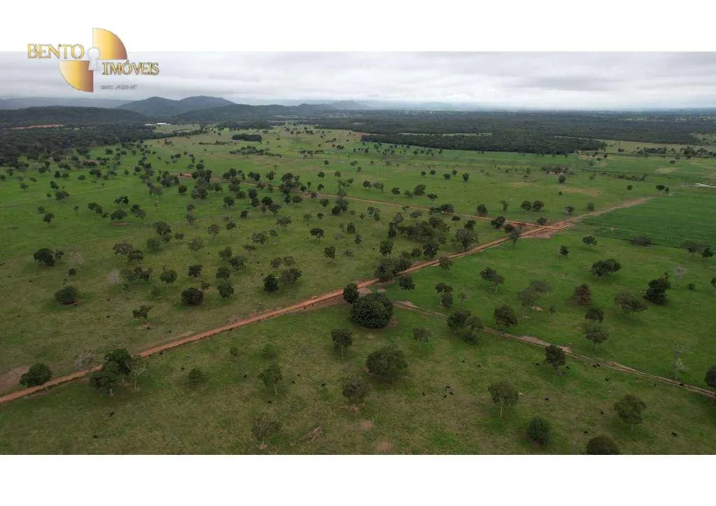 Farm for sale of 6,524 acres in Cáceres, MT, Brazil