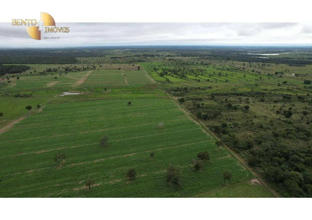 Farm for sale of 6,524 acres in Cáceres, MT, Brazil