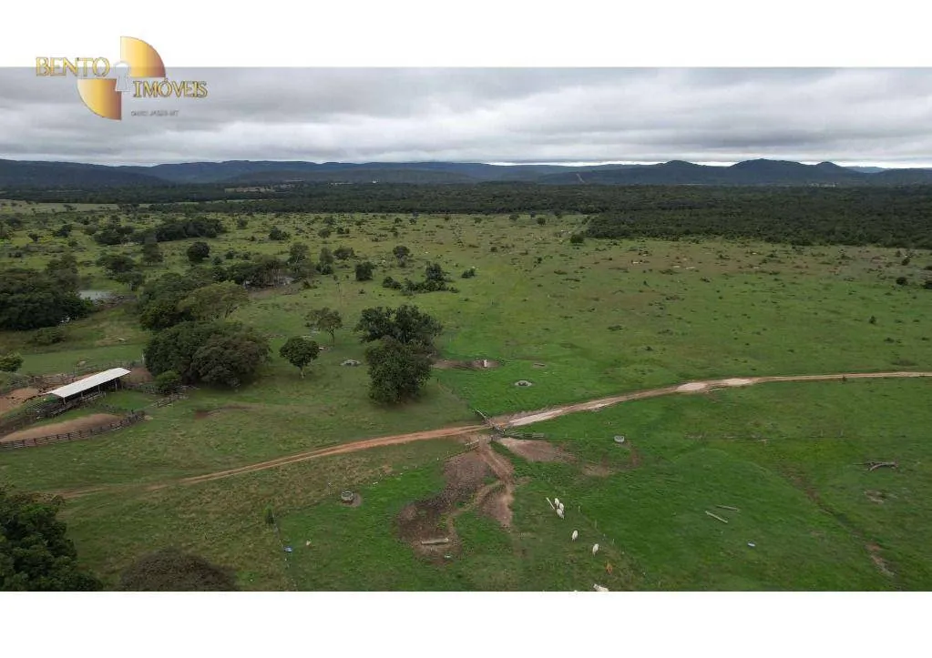 Farm for sale of 6,524 acres in Cáceres, MT, Brazil