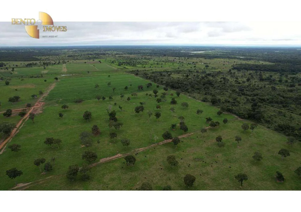 Farm for sale of 6,524 acres in Cáceres, MT, Brazil