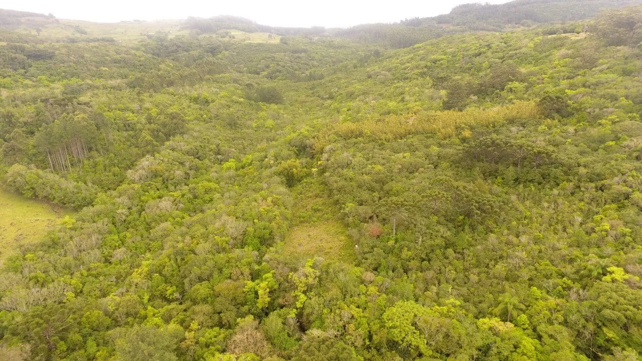 Country home for sale of 7 acres in Caraá, RS, Brazil