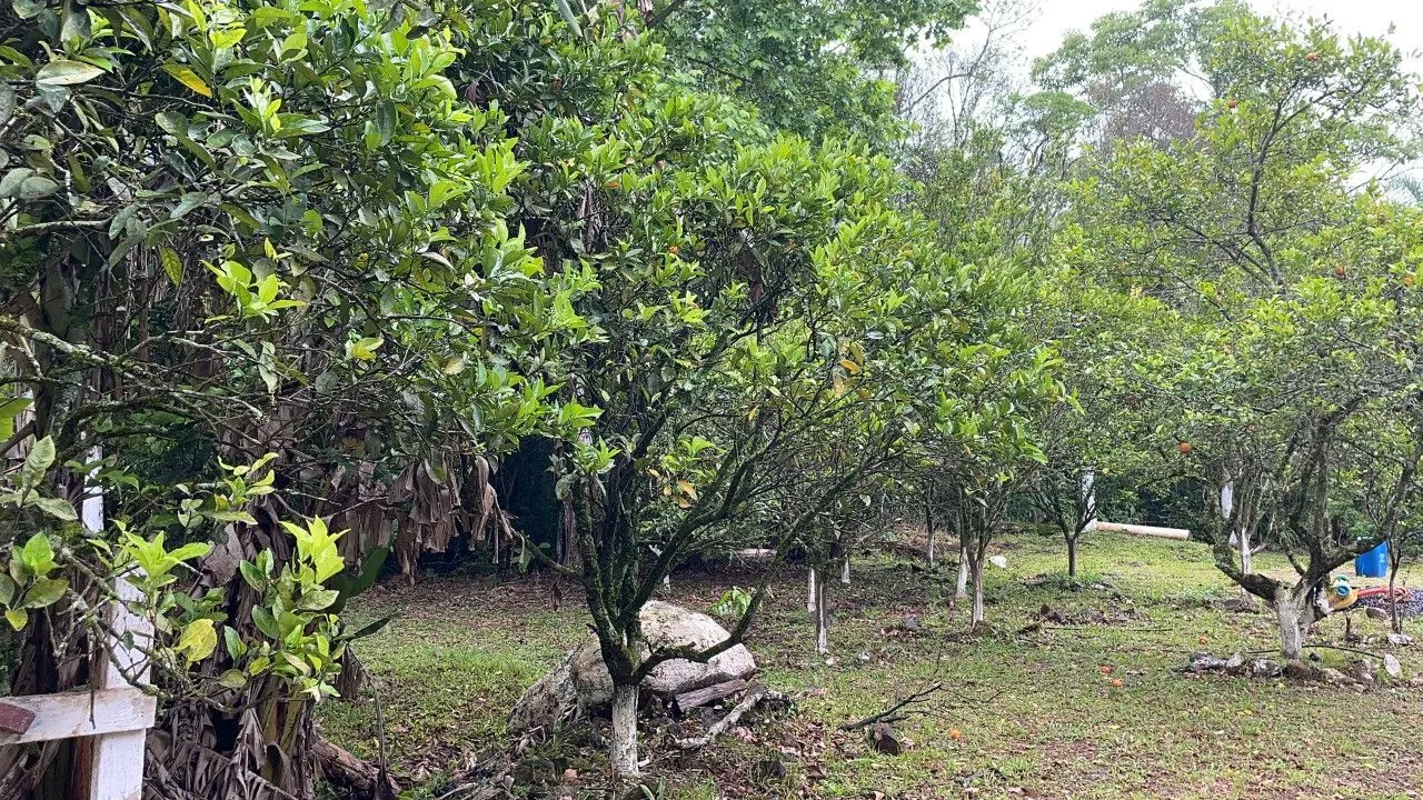 Country home for sale of 7 acres in Caraá, RS, Brazil