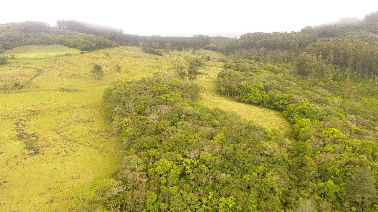 Country home for sale of 7 acres in Caraá, RS, Brazil