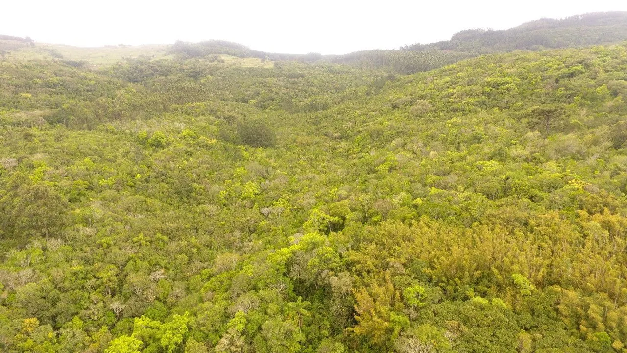 Country home for sale of 7 acres in Caraá, RS, Brazil