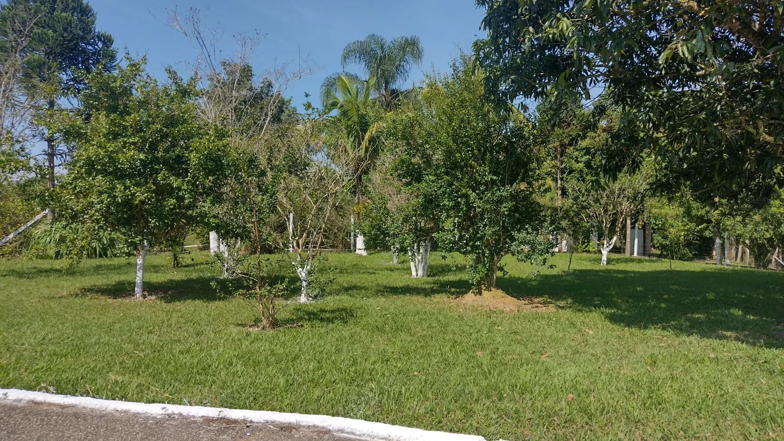 Country home for sale of 5 acres in São José dos Campos, SP, Brazil