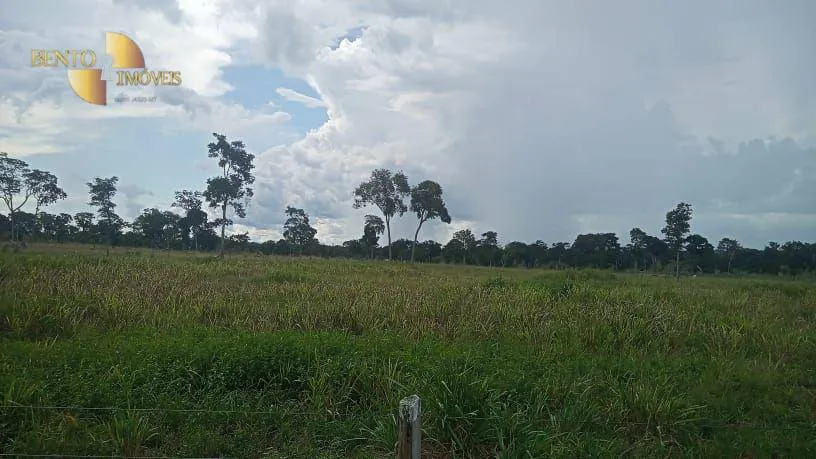 Farm for sale of 1,196 acres in Nova Lacerda, MT, Brazil
