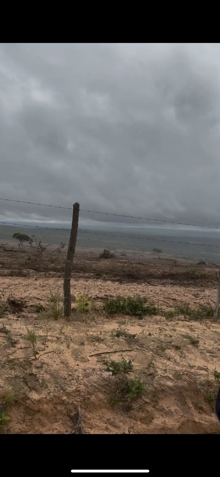 Fazenda à venda de 73 ha em Itapicuru, BA, Brasil