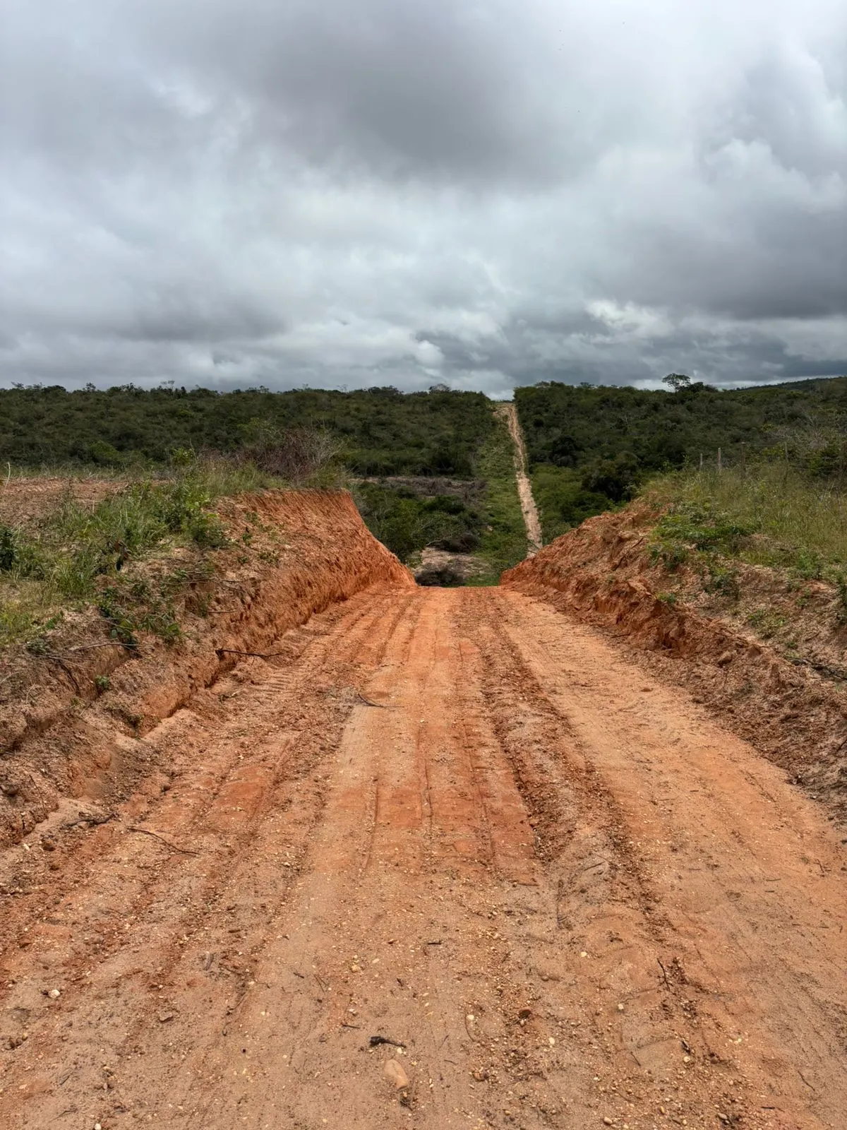 Fazenda à venda de 73 ha em Itapicuru, BA, Brasil