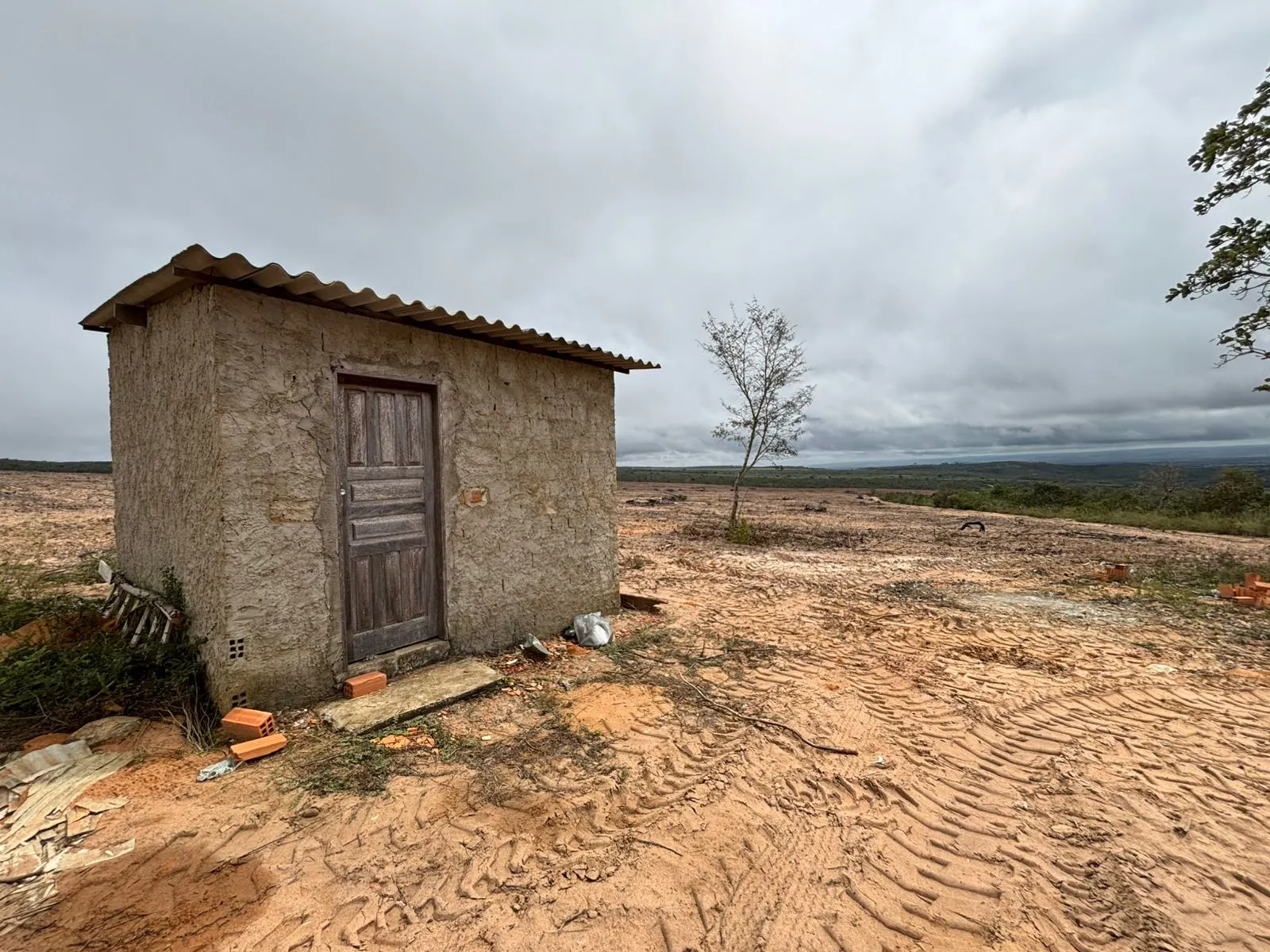 Fazenda à venda de 73 ha em Itapicuru, BA, Brasil