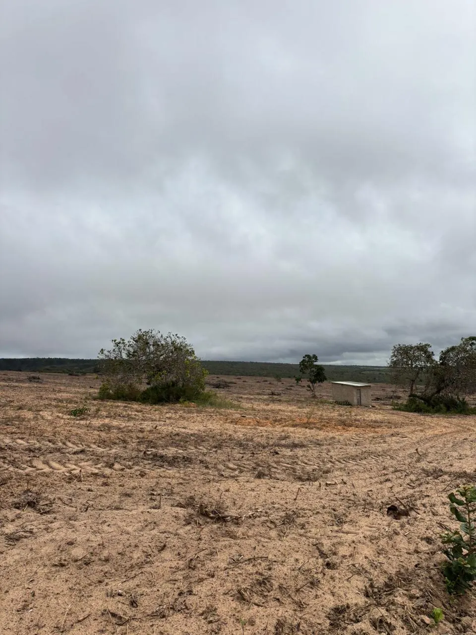 Fazenda à venda de 73 ha em Itapicuru, BA, Brasil