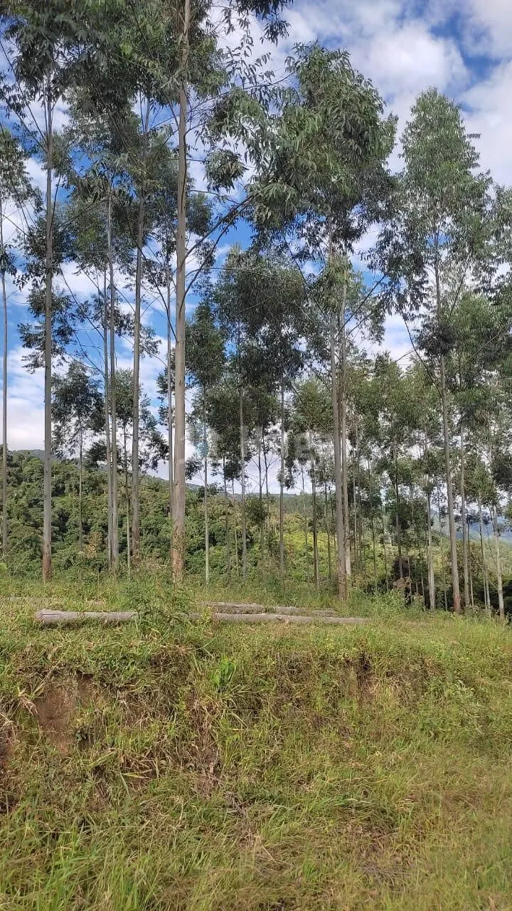 Chácara à venda de 12 ha em Major Gercino, SC, Brasil
