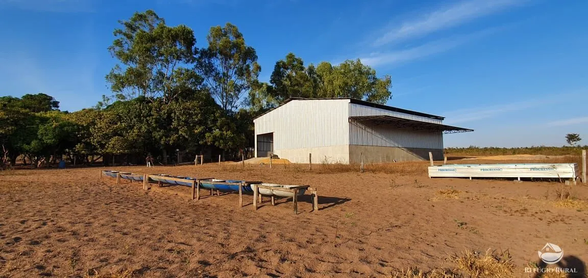 Fazenda à venda de 3.151 ha em Sinop, MT, Brasil