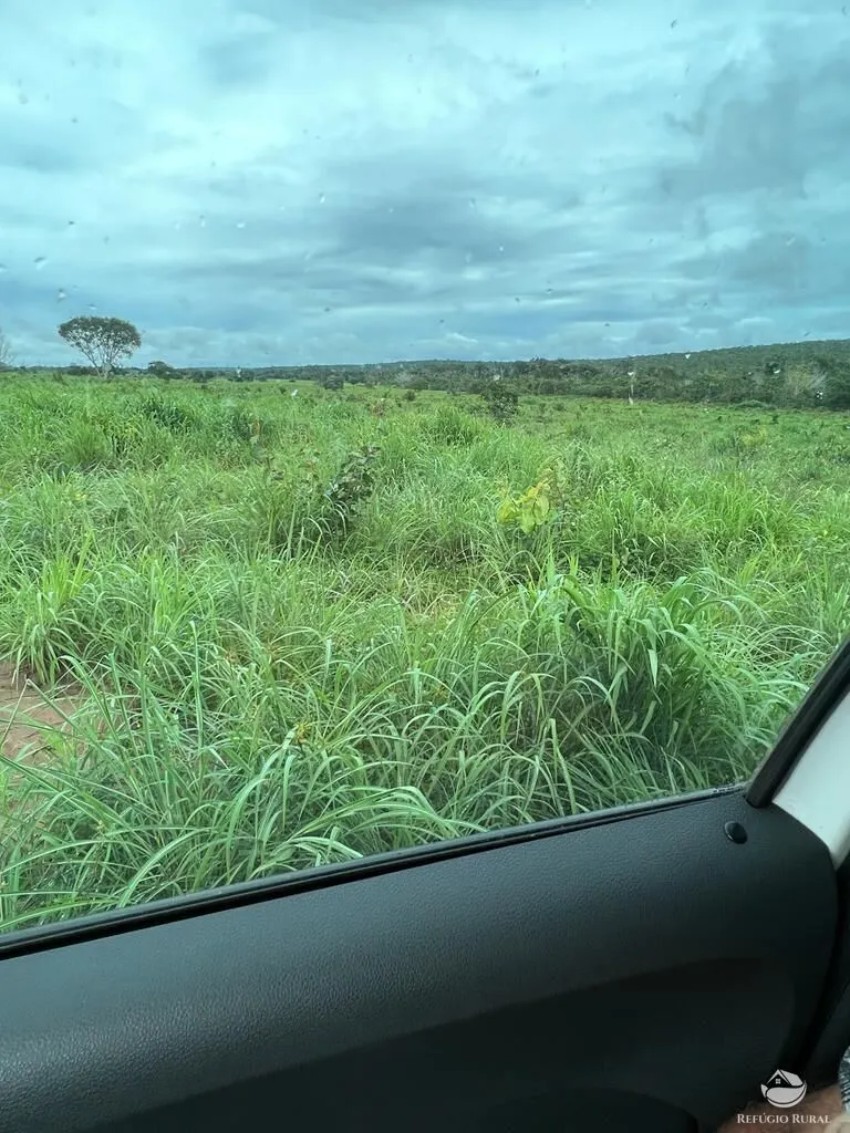 Fazenda à venda de 3.151 ha em Sinop, MT, Brasil