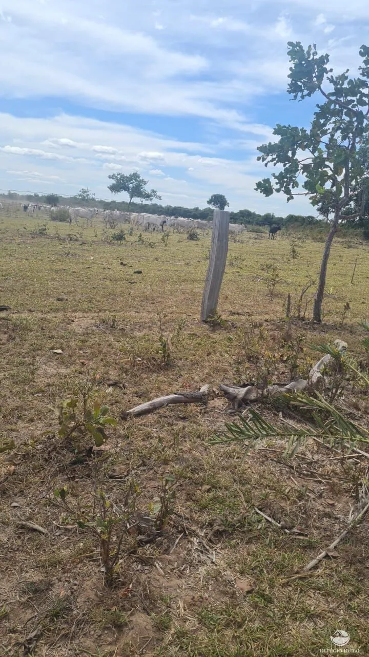 Fazenda à venda de 3.151 ha em Sinop, MT, Brasil