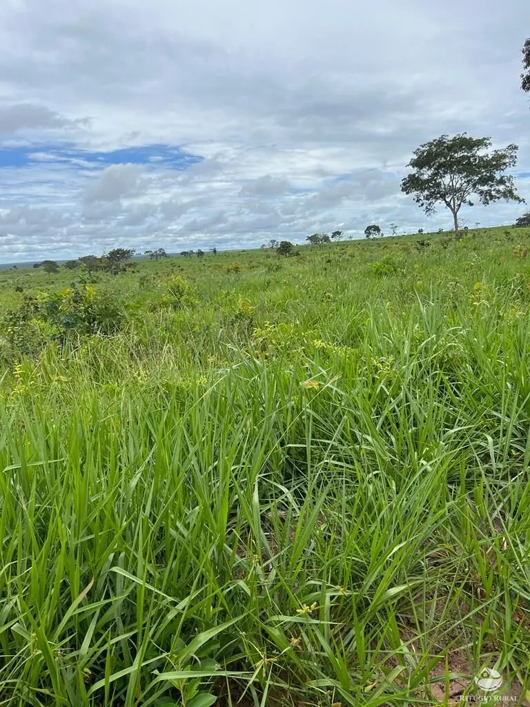 Fazenda à venda de 3.151 ha em Sinop, MT, Brasil