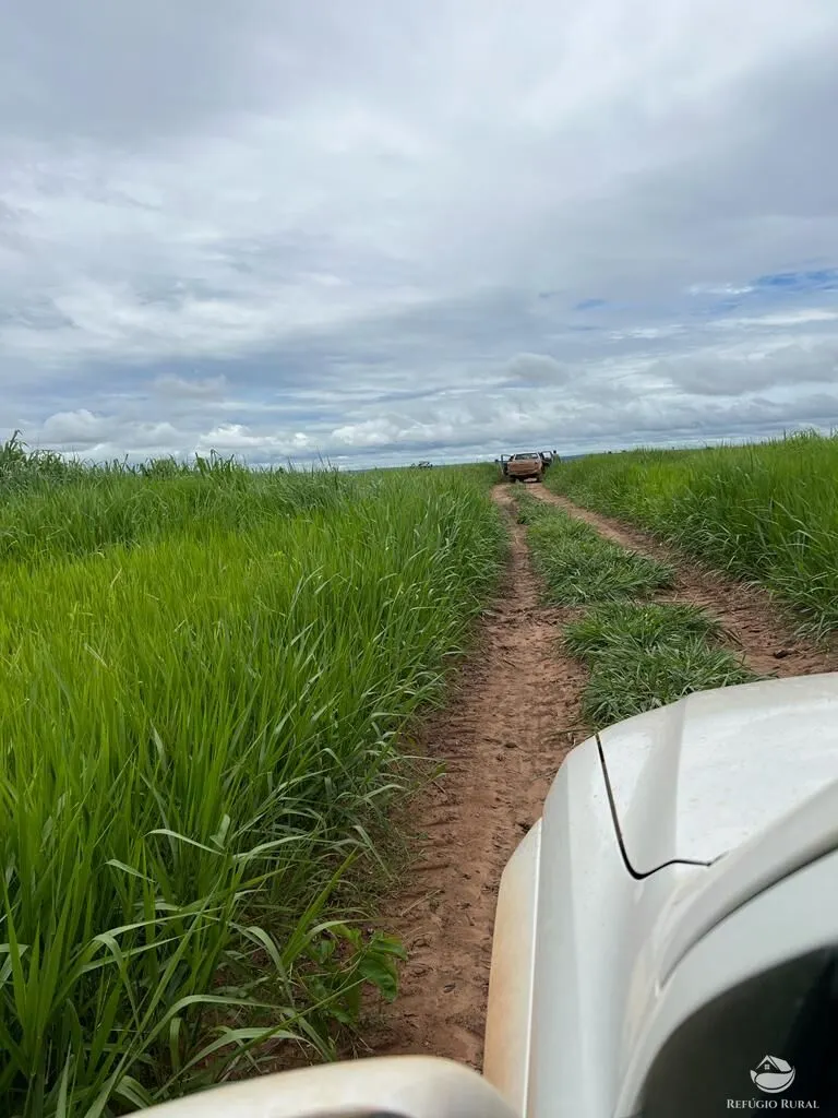Fazenda à venda de 3.151 ha em Sinop, MT, Brasil