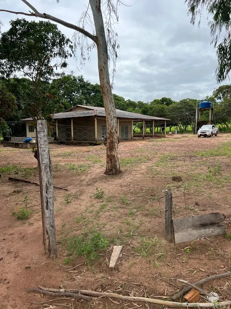 Fazenda à venda de 3.151 ha em Sinop, MT, Brasil