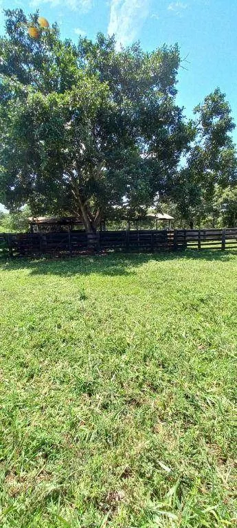 Fazenda à venda de 2.266 ha em Jangada, MT, Brasil