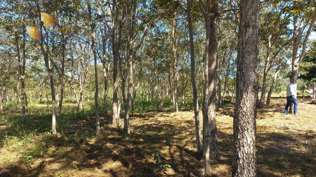 Fazenda à venda de 2.266 ha em Jangada, MT, Brasil