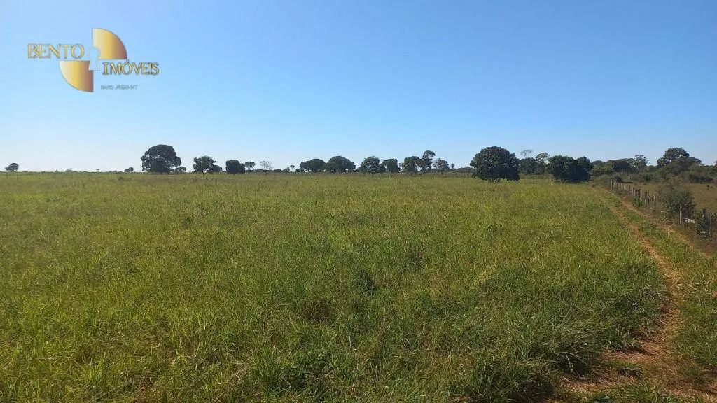 Fazenda à venda de 2.266 ha em Jangada, MT, Brasil