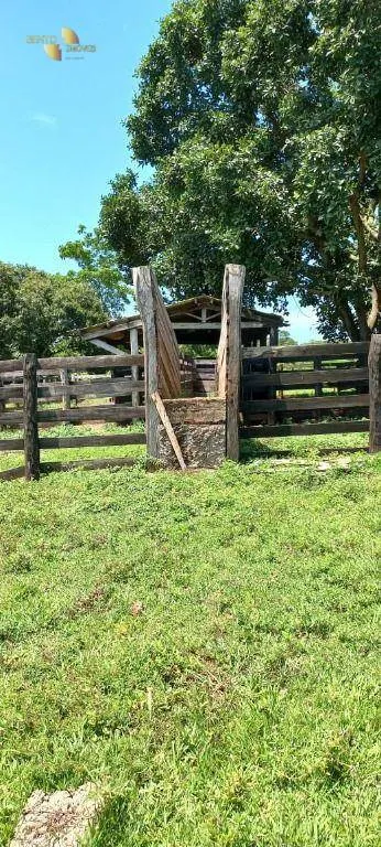 Fazenda à venda de 2.266 ha em Jangada, MT, Brasil
